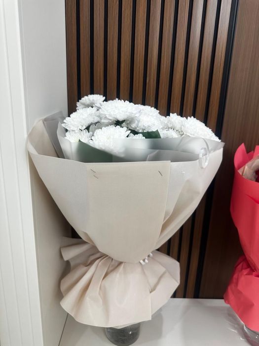 Цветы актау. Актау гул жана келген свежый                         .