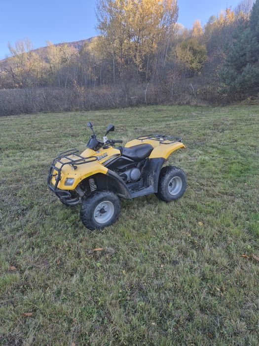 Can-am Rally 200cmc import Germania