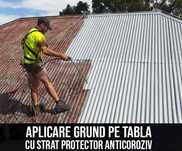 Vopsitor de tabla ruginita