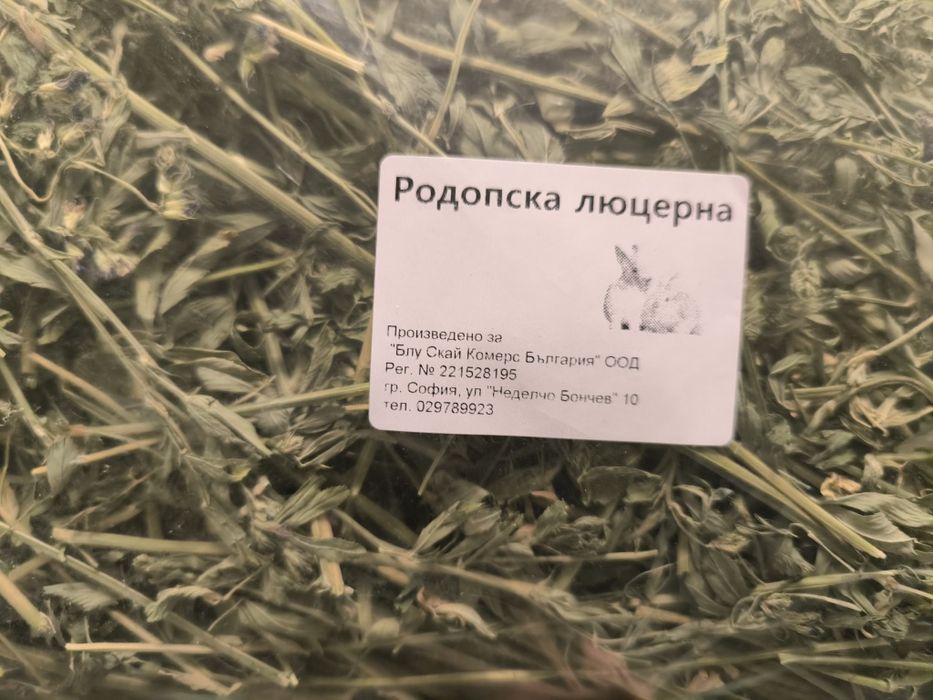 Люцерна за зайци