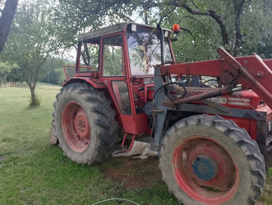 De vânzare tot ce se vede