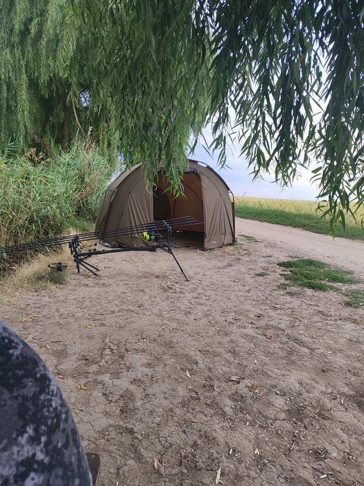 Cort anaconda cusky dome 190
