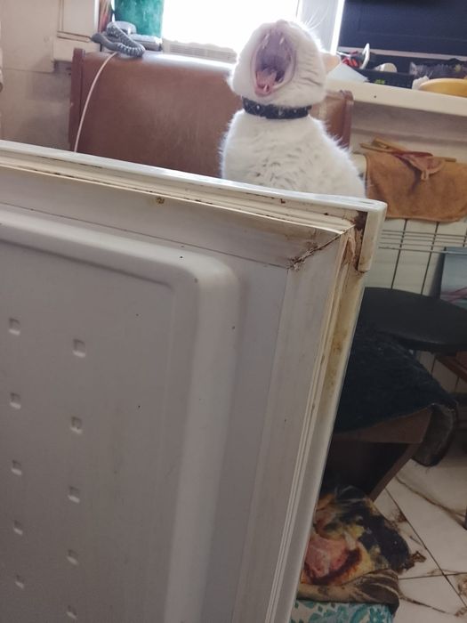 Замена уплотнителя на двери  холодильников