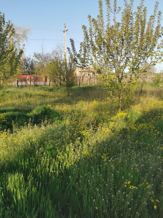 Teren intravilan în Topalu