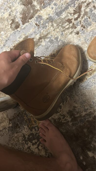 Vand timberlands uri