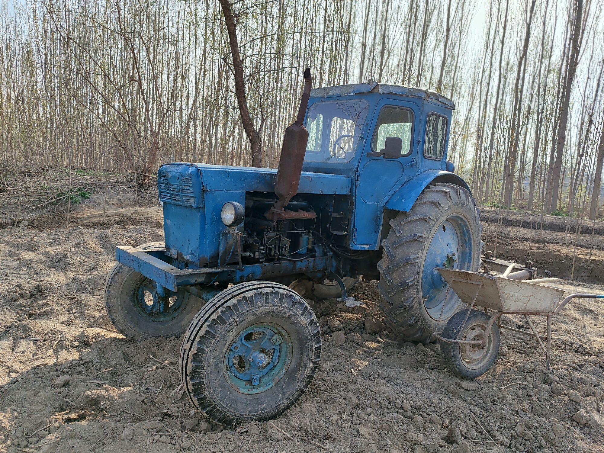 Traktor Mtz 40 otlichno