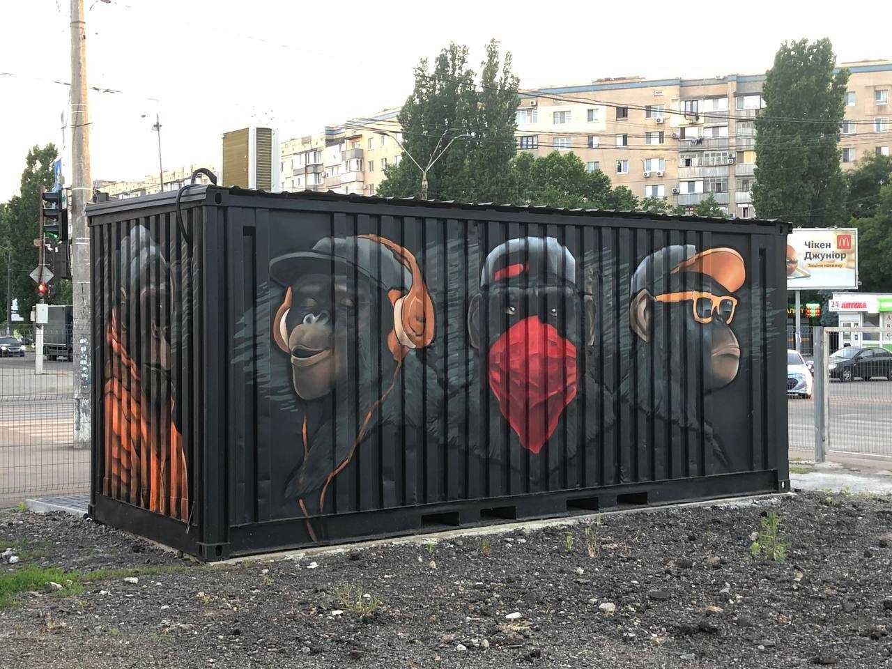 Graffiti - decor \ Pictură murală \ Street art \ Brasov Romania