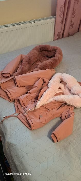 Vand gecute de iarna