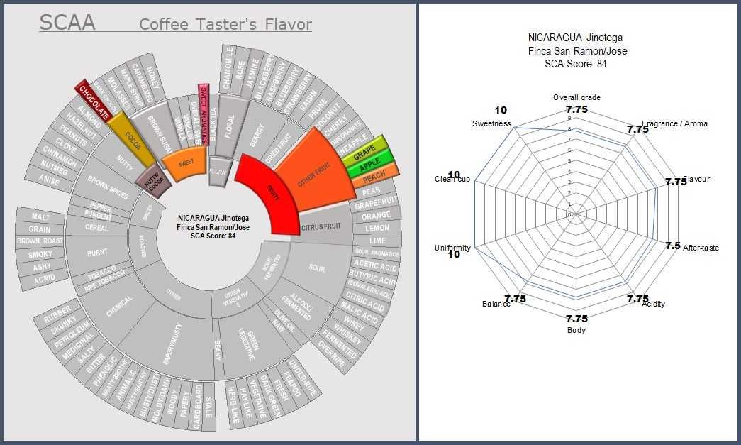 NICARAGUA Jinotega Finca San Ramon 2022, Cafea Verde