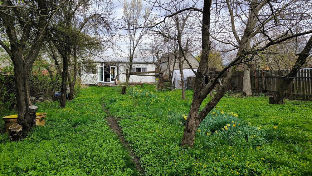 Teren cu livadă și clădiri  – Perfect pentru afaceri turistice