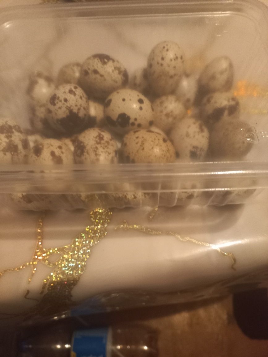 Перепелинные яйца цена за 10 яиц