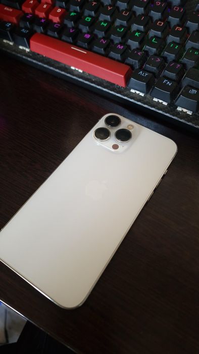 Iphone 13 pro max silver