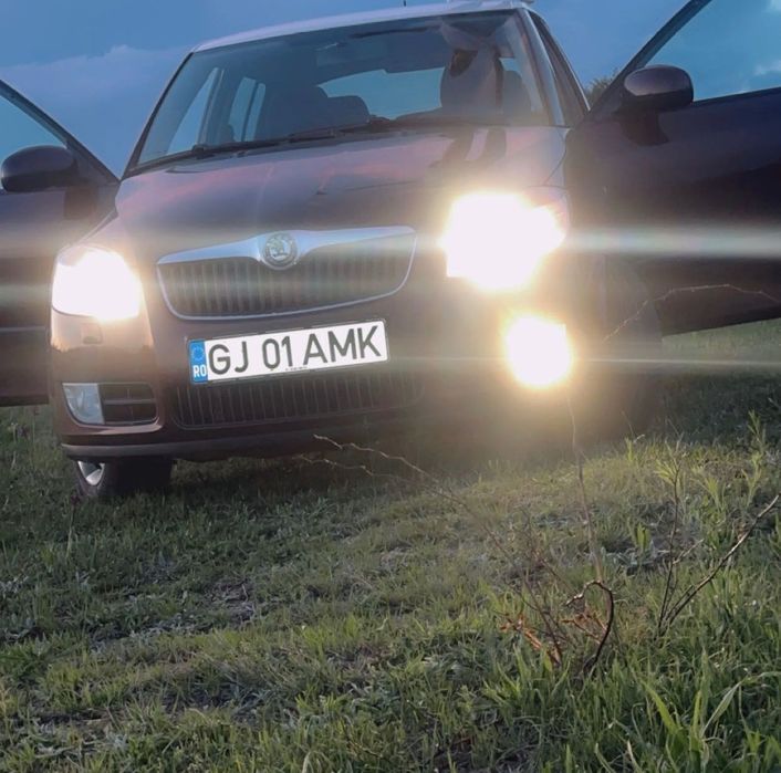 Skoda Fabia an 2010