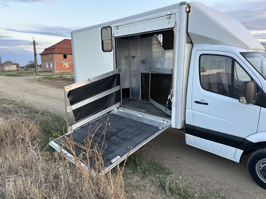 Mercedes sprinter transportanimale