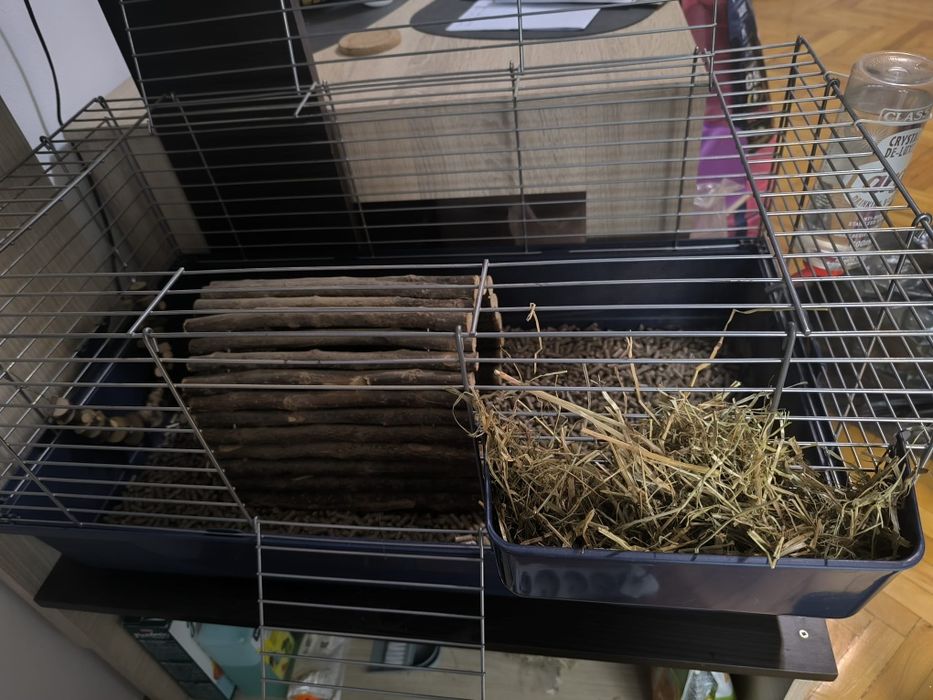 Porcușori de Guineea+ cușcă