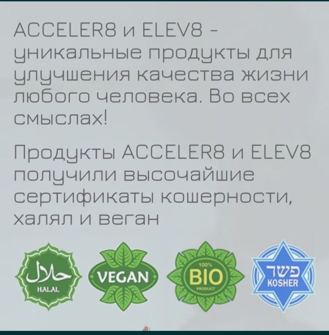 B-epic! Элев 8, Асселер 8