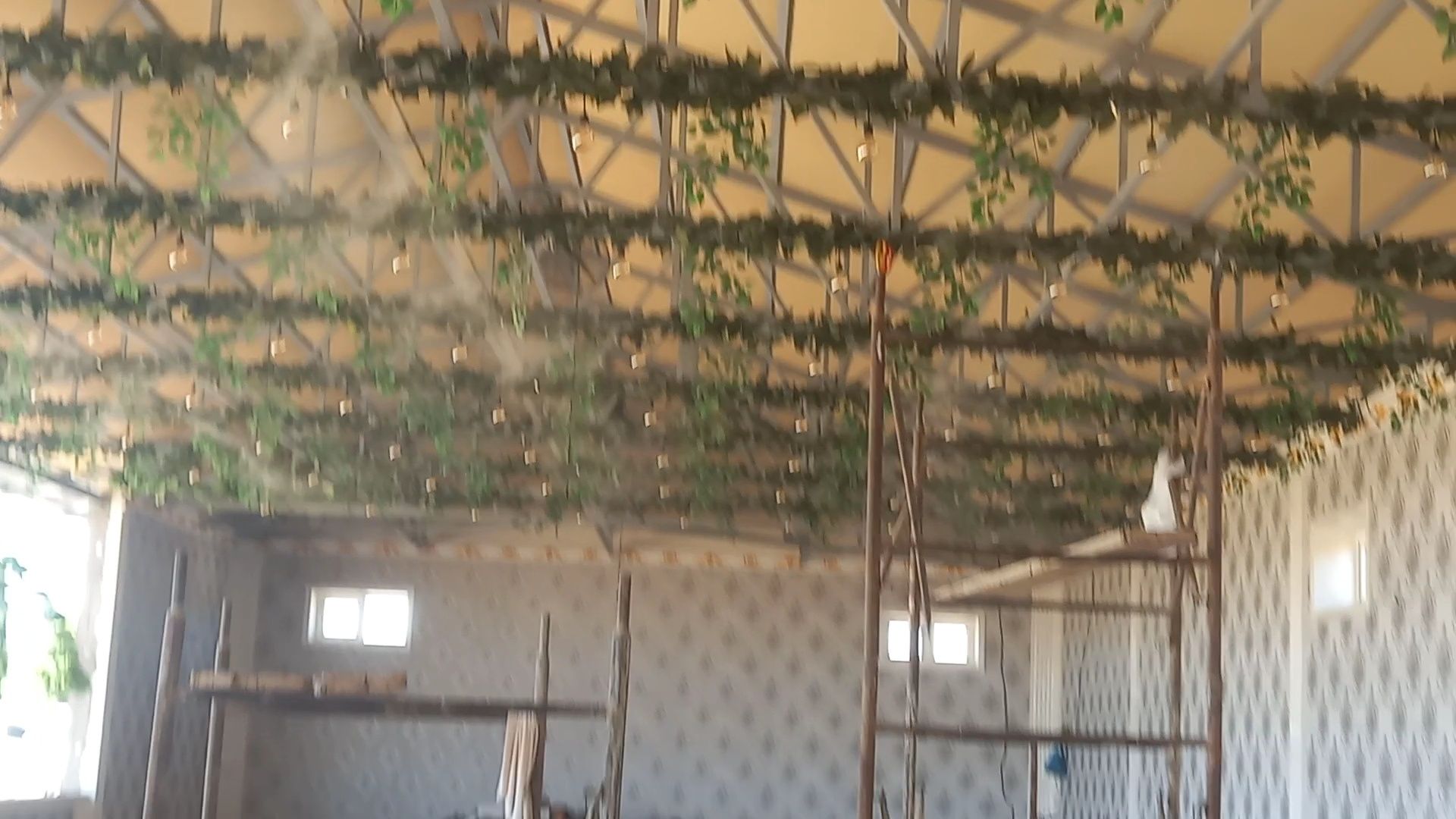 Mikrokilimit soya setka