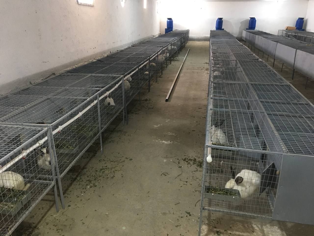 Tayor ferma sotiladi 2 gektar arzon