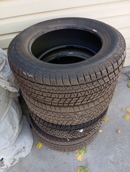 Резина зимняя шины