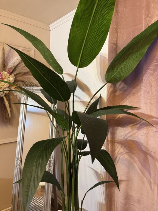 Plante verzi artificiale silicon real touch