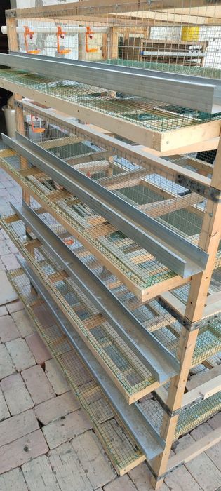 Assalomu alaykum aka uka lar kimga bedana qafas