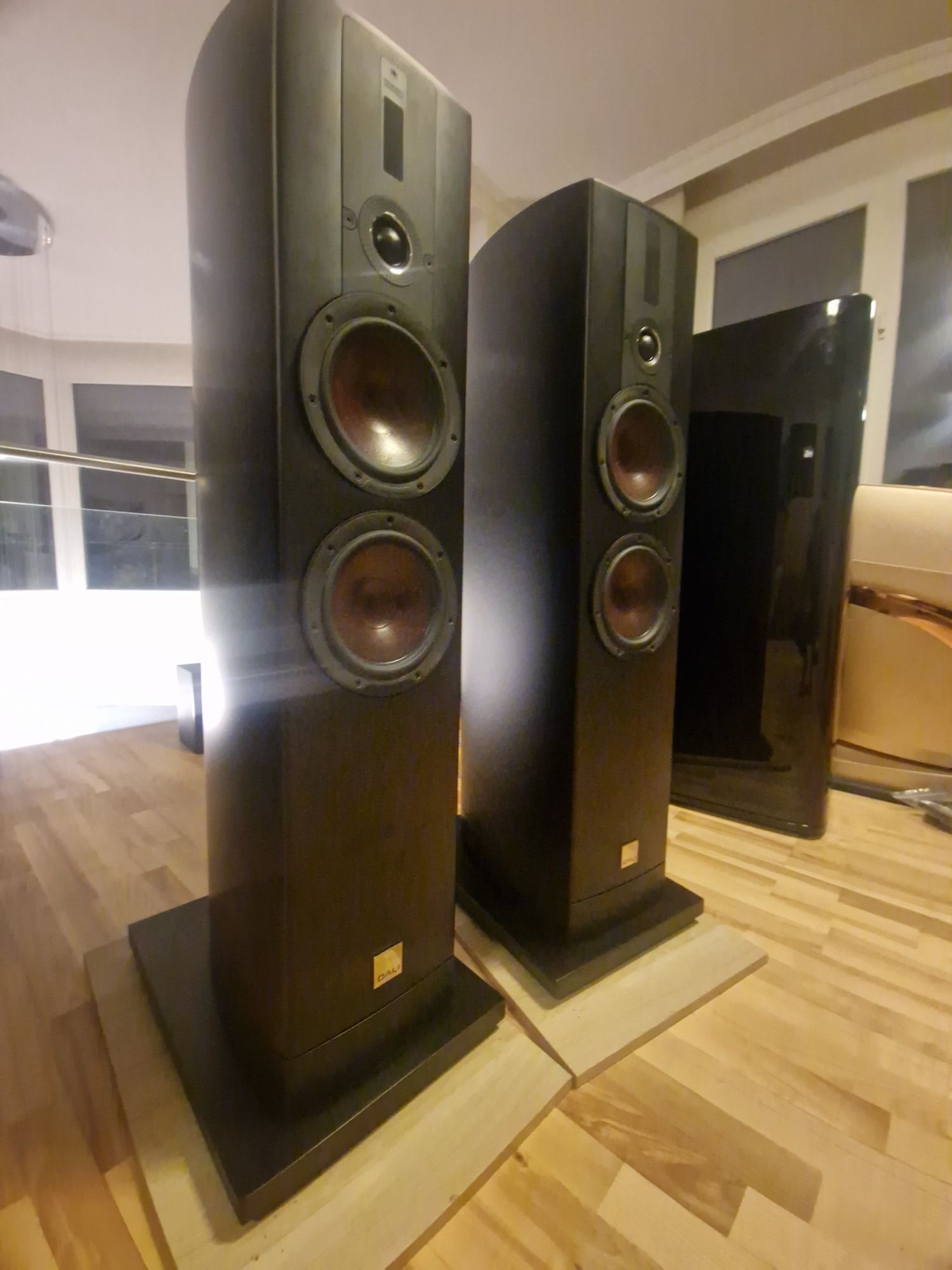 Тонколони Dali epicon 6