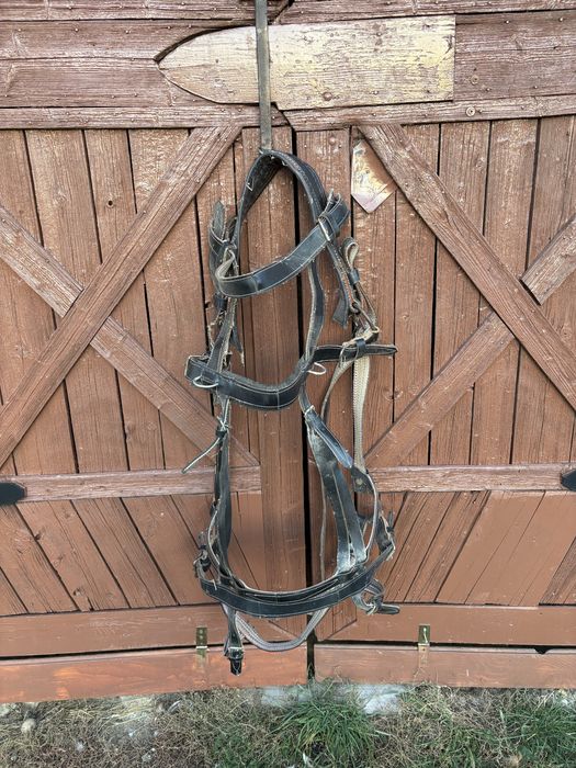 Se vând accesorii ponei/ măgar