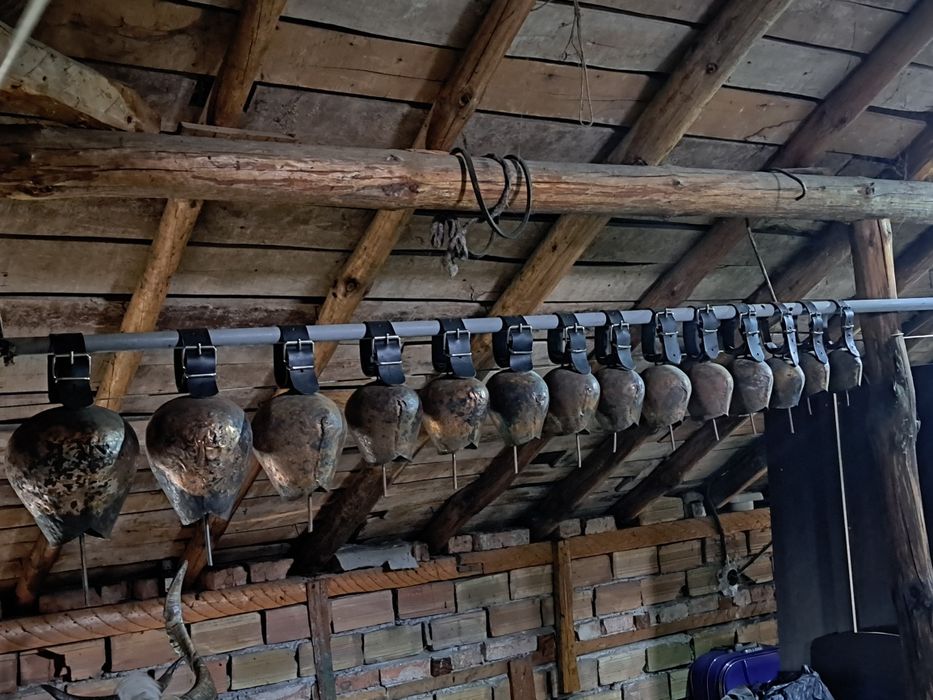 Хлопки. Чанове. Чан