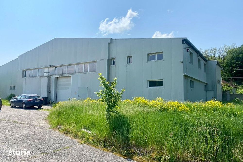 Hala de inchiriat in mun. Brad, disponibila imediat