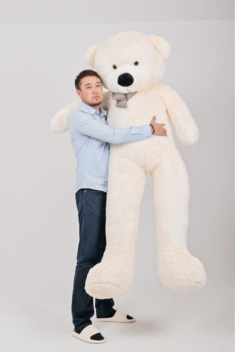 Мишки большие , мишка