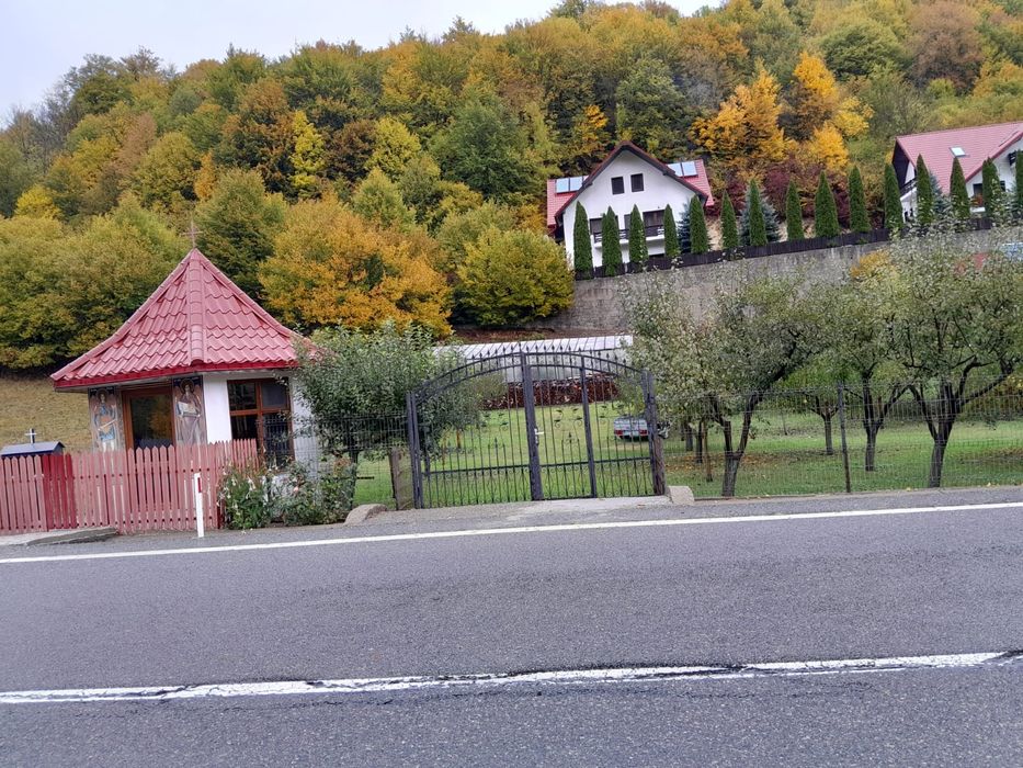 Vând teren Lepșa cu îmbunătățiri