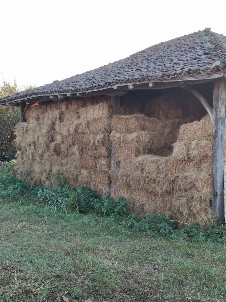 Бали ливадно сено