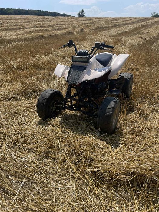 Atv wexxtor 150cc