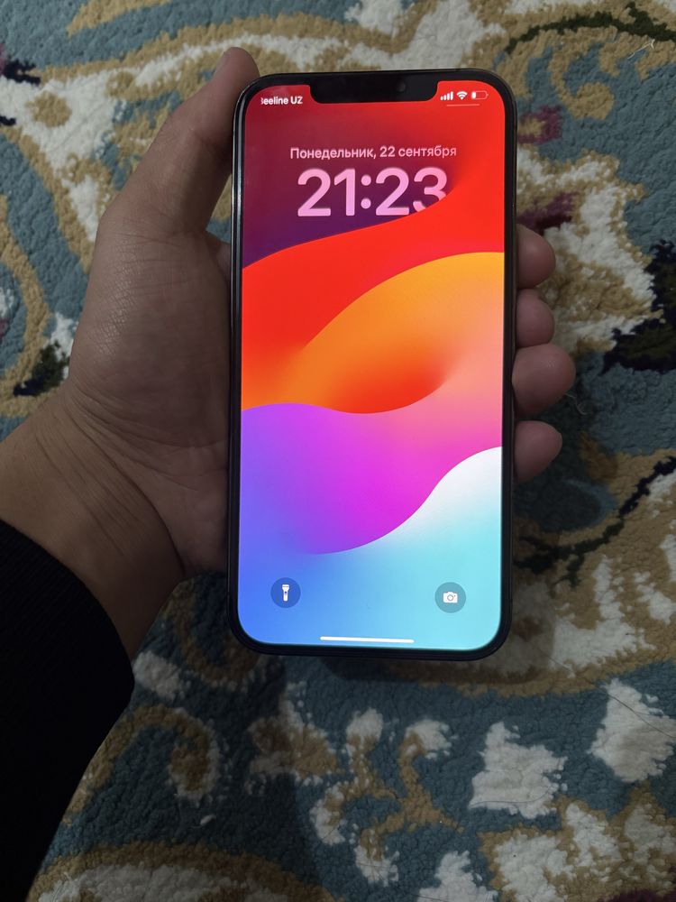 Iphone 12 pro max