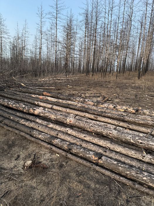 Продам 6-ти метровые жерди