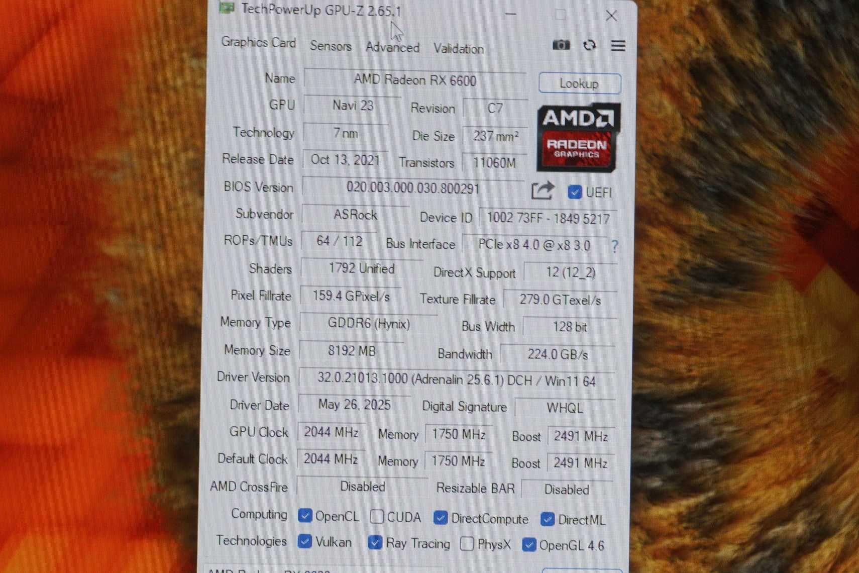 GPU Видео карта AMD Radeon RX 6600 8GB ASrock Challenger Broken shroud