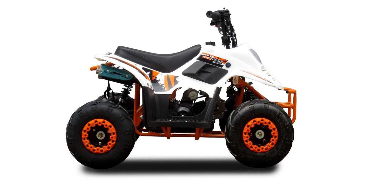 ATV pentru Copii pe Benzina 125cc Automat Import Germania Garantie