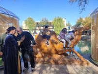 Услуги серцифицированного гида