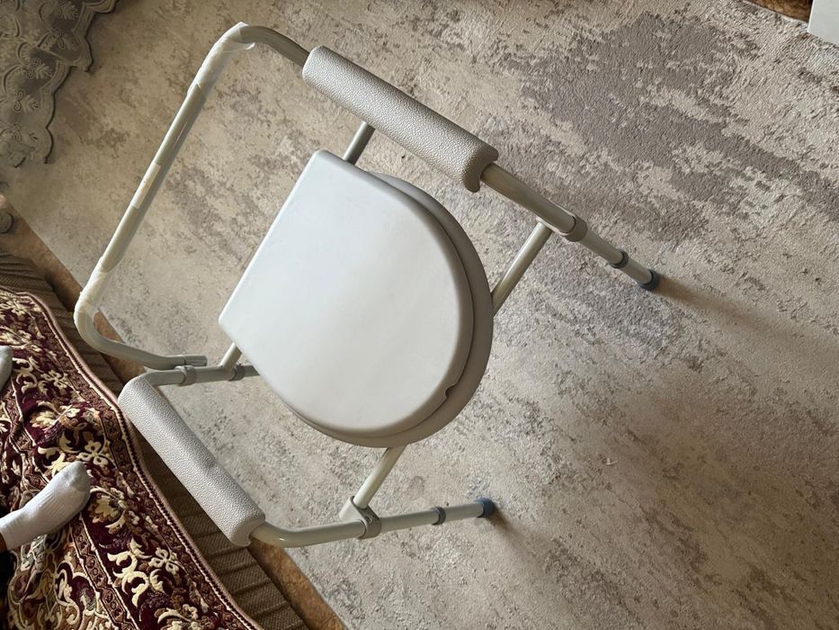 Био туалет стульчик