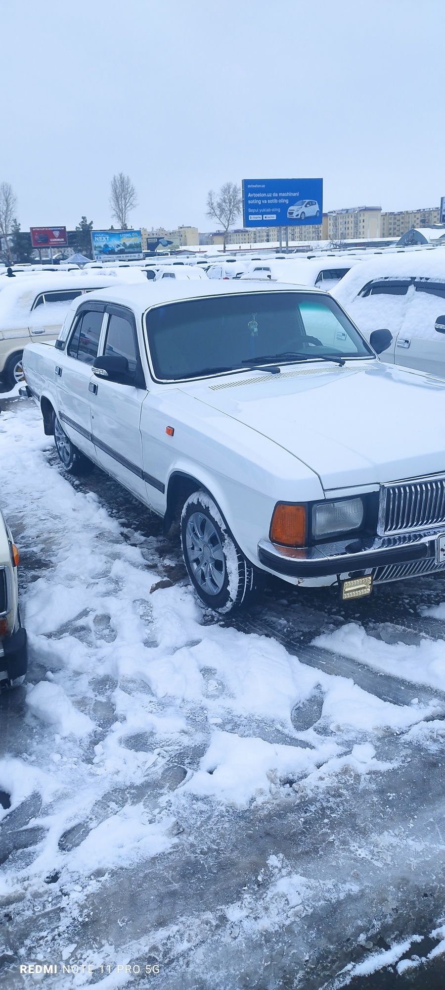 Volga Gaz 3102  gaz