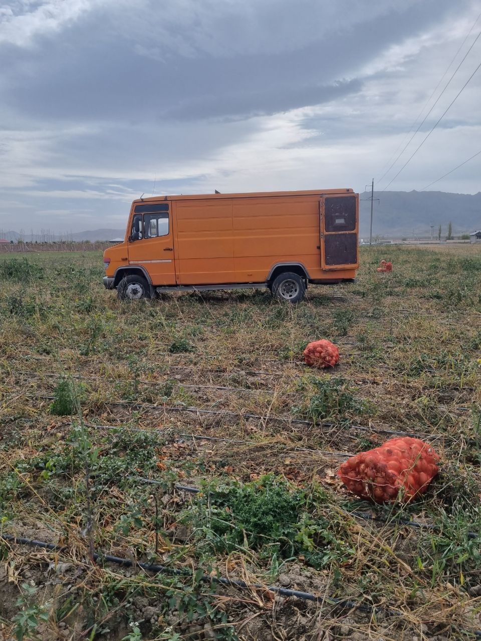 Mercedes  Vario 814 d isuzu isuzi 15ming $