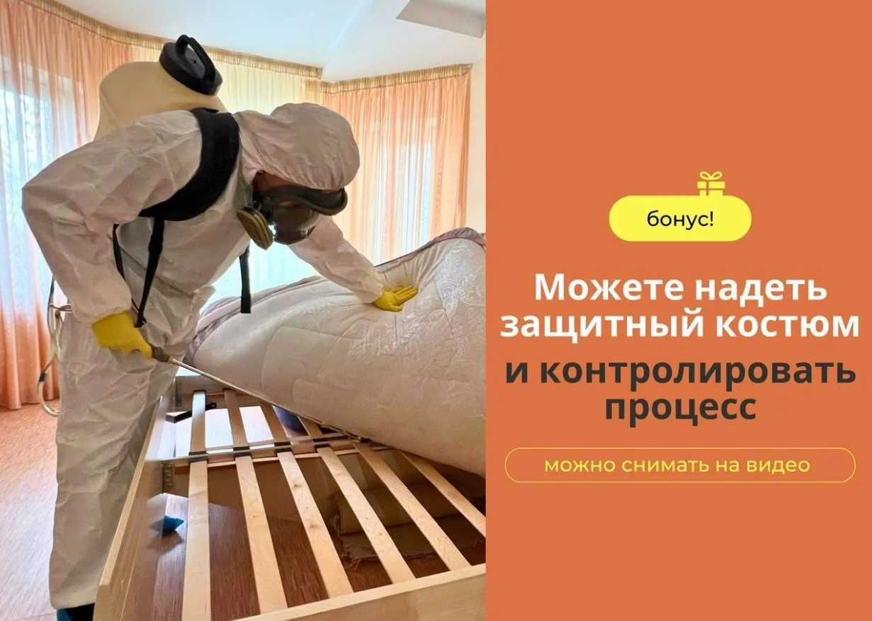 Dezinfeksiya Дезинфекция таракан клоп крыс плесени klop chayon чивин