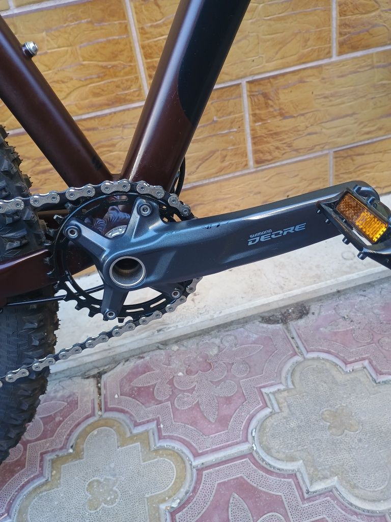 Companion 29 цола XL
