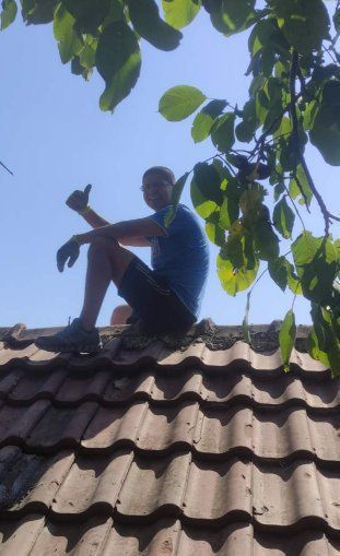 Кърти чисти извозва Плевен