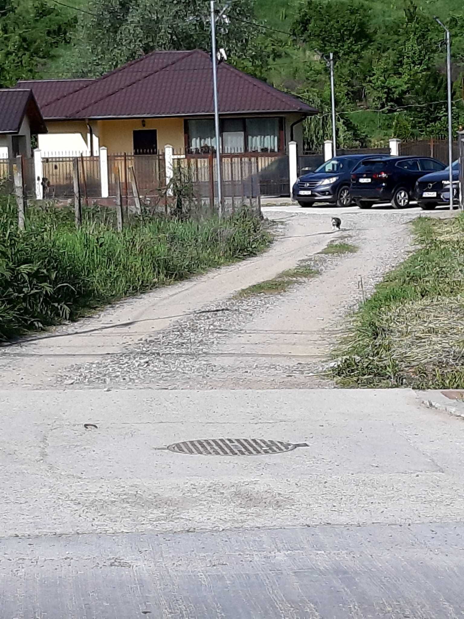 Teren intravilan la 2km de Hanul Trei Sarmale