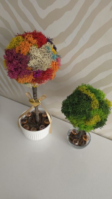 Подаръци с мъх , кашпи с рози