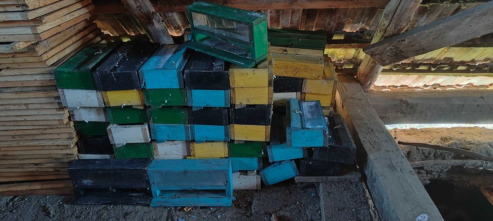 Balconas , buzunar ,botnite albine