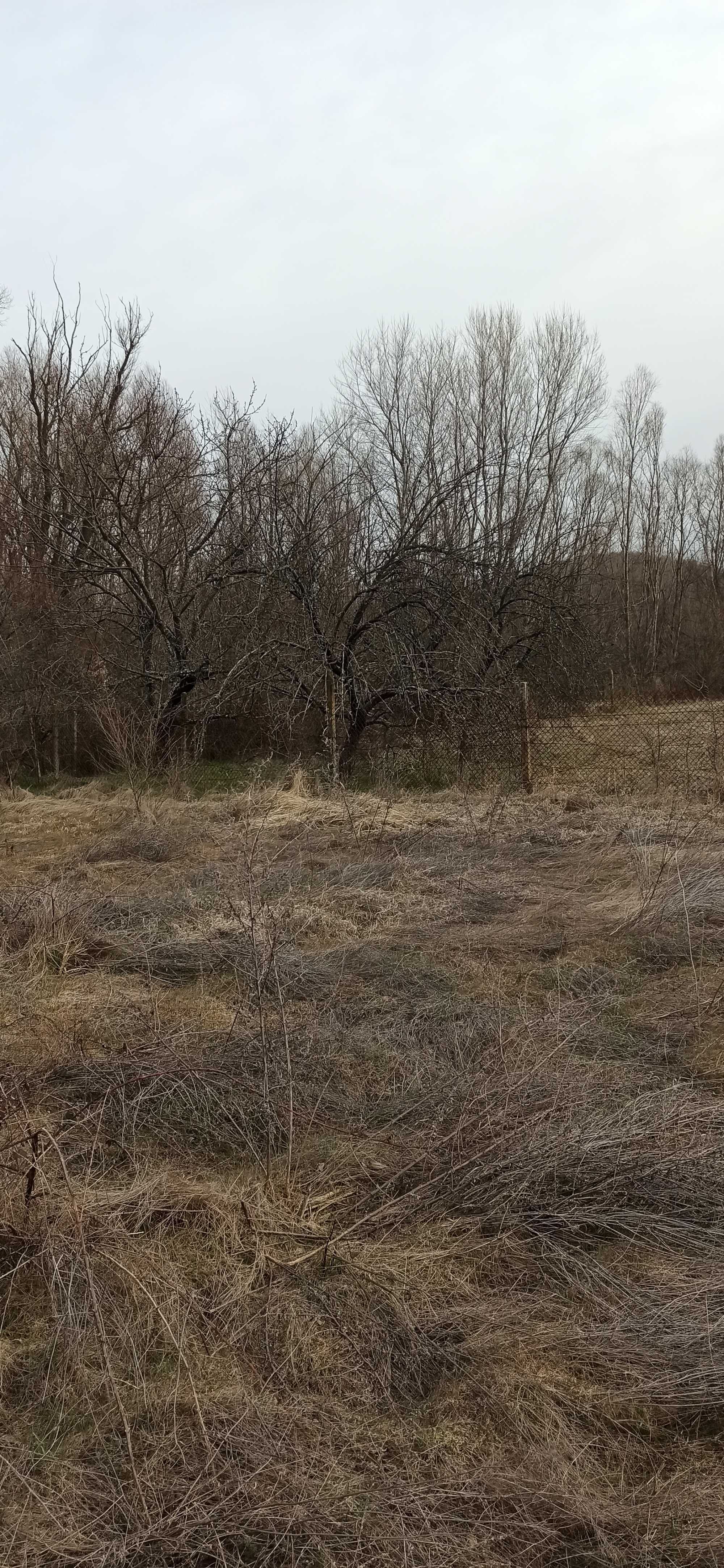 Вилно място с.Песнопой