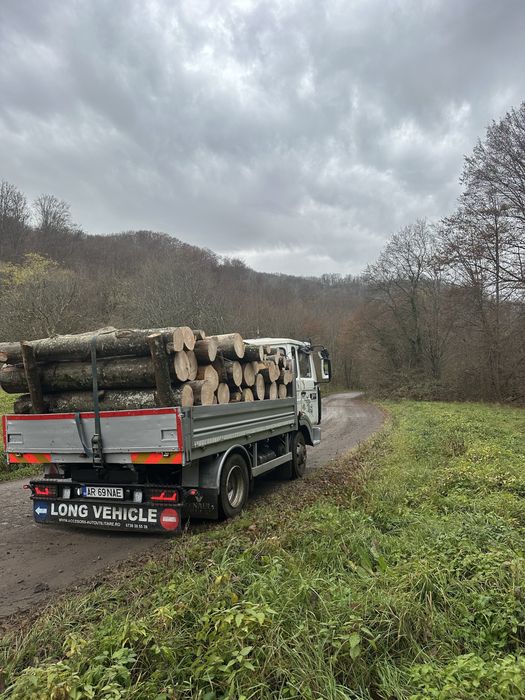 Lemne de foc esenta tare