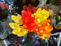 Ночник букет цветов
Искусственные тюльпаны с подсветк